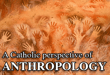 A Catholic Perspective of Anthrology